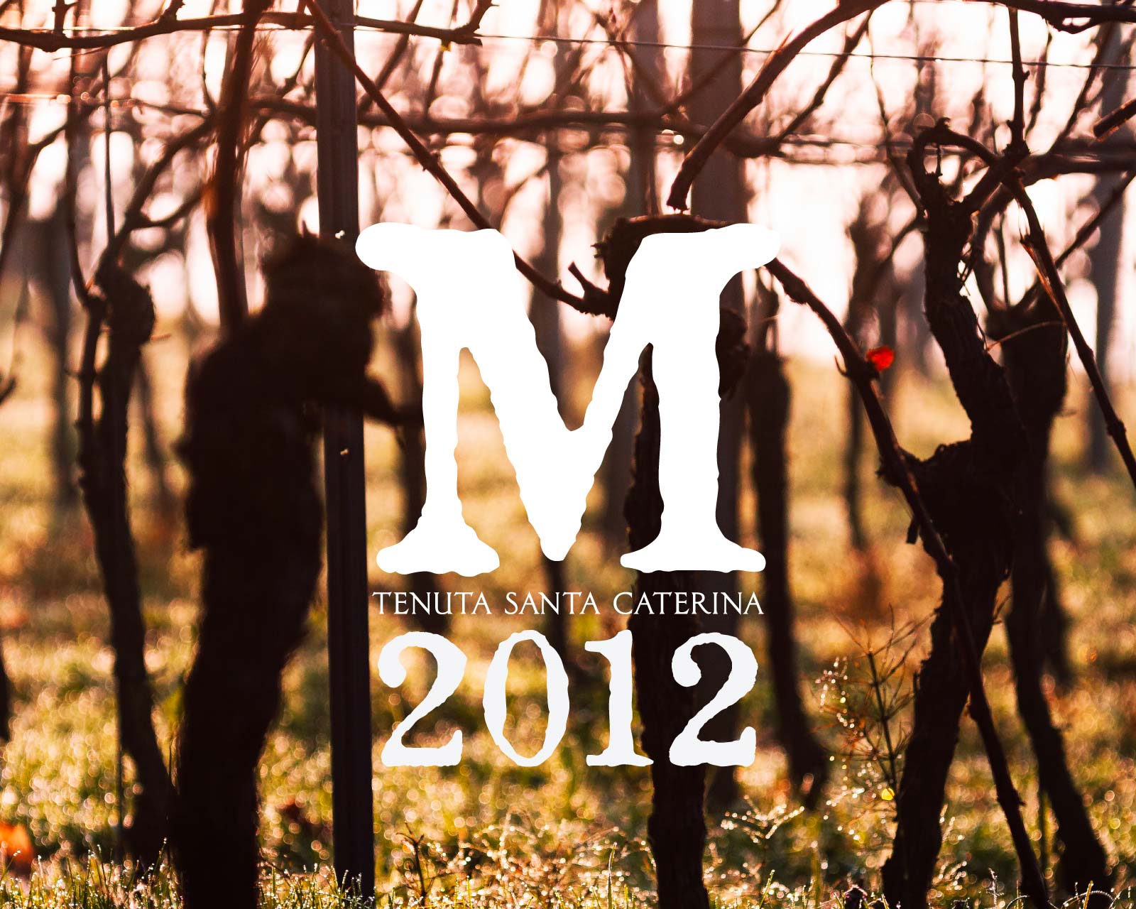 DUe-packaging-wine-piemonte-3